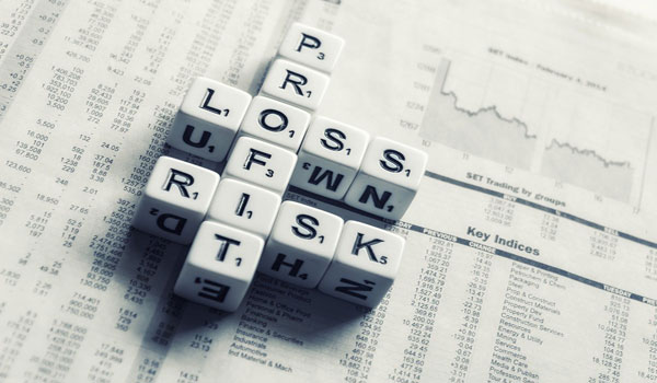What is a profit and loss statement