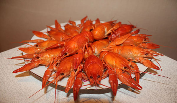  Crayfish Business In Nigeria 