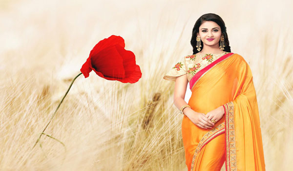 Start a profitable Saree Business