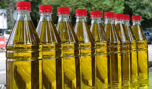 How To Start Groundnut Oil Business In Nigeria in 2022